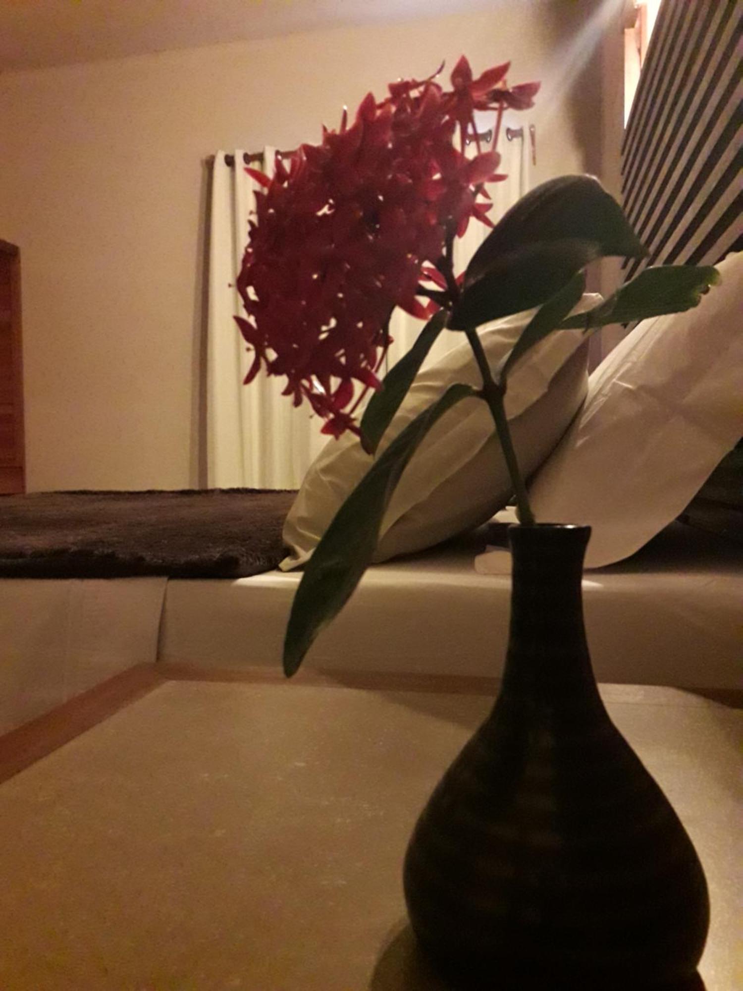 Alfa Beach (Adults Only) Cacha Pregos Room photo